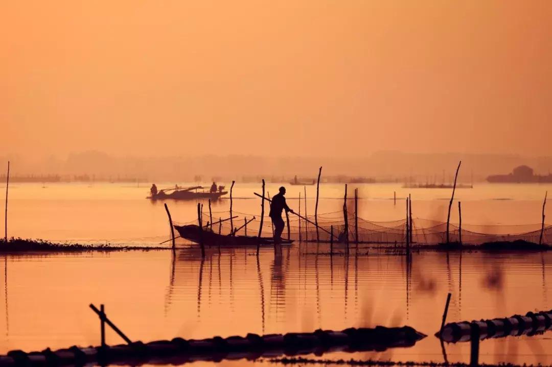 淮安生态环境保护摄影比赛,摄影大师在淮安
