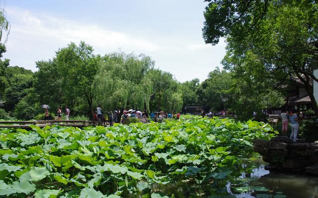 苏州拙政园园林借景,苏州拙政园唯美意境