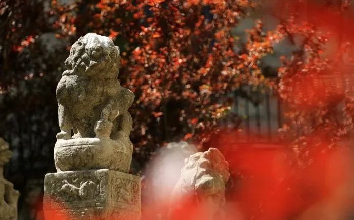 九大美院校园风景,中国九大美院校园风采