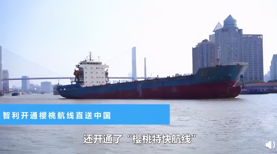 一颗60元，白色草莓出圈背后：网红水果的套路，骗惨这届年轻人