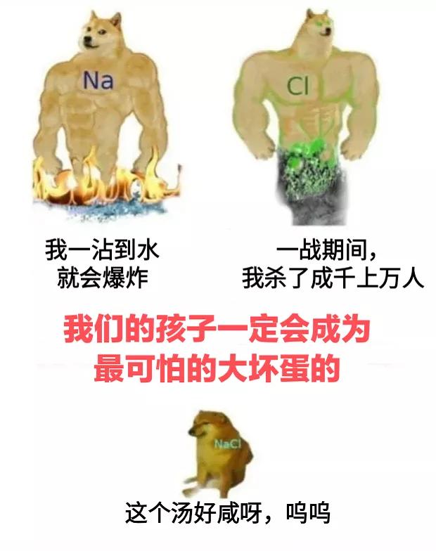动物为什么进化出生育能力,生多生少取决于公猫还是母猫