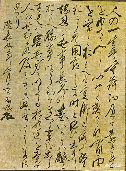 明日方舟种族考据,明日方舟考据党