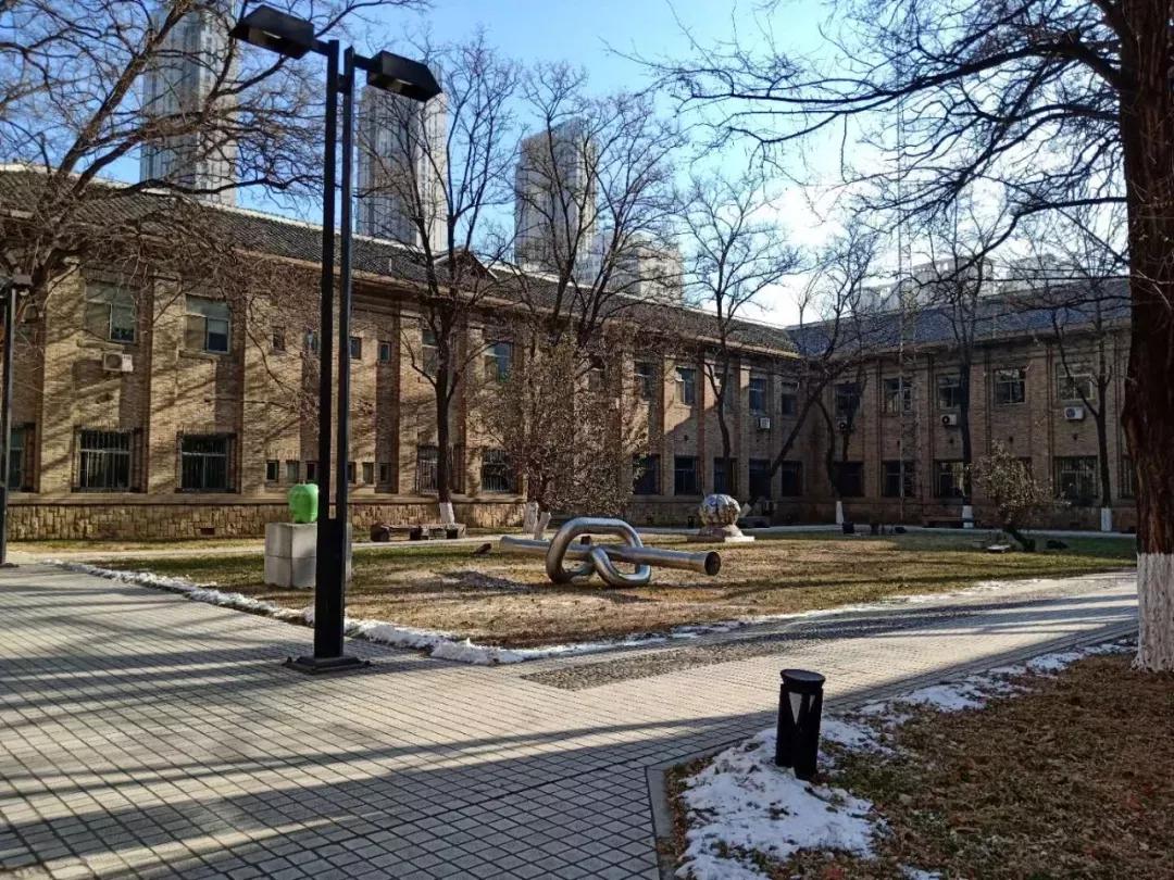 辽宁大学和鲁迅美术学院,辽宁省鲁迅美术学院是985吗