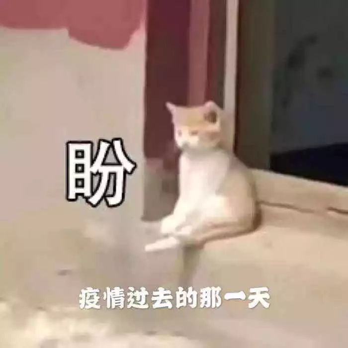 热门爆品好物推荐,冷门品牌宝藏好物你get到了嘛