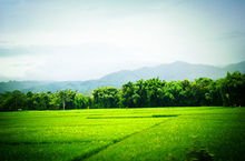 云南省腾冲第一中学,云南省腾冲简介