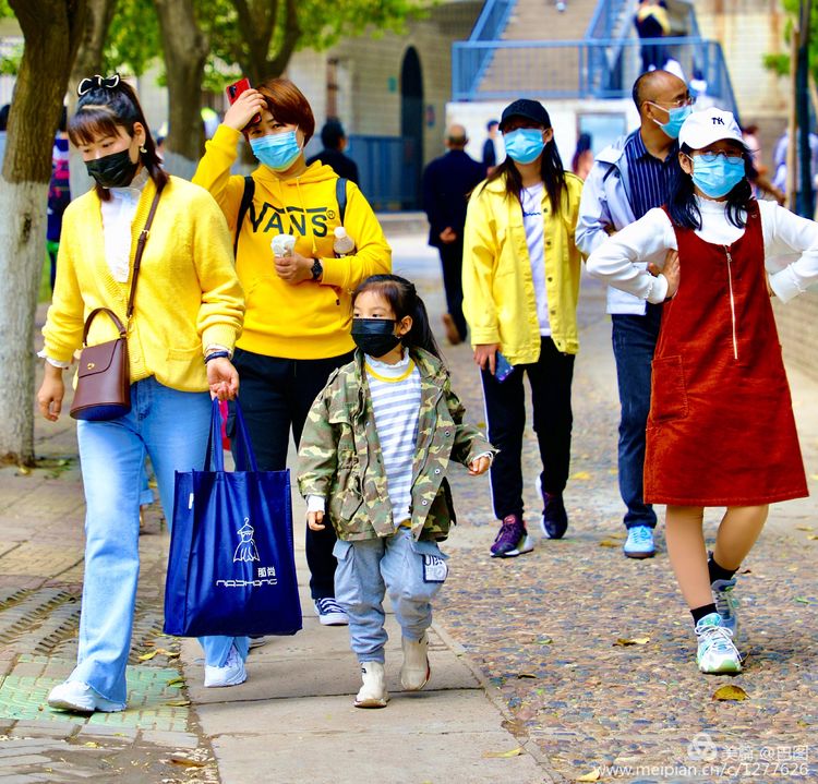 看洛阳牡丹花卉节,洛阳古都牡丹花展