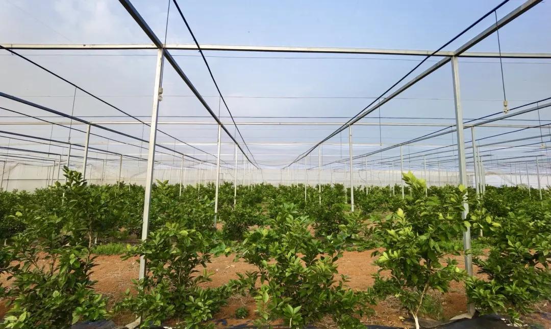 奋战一季度实现开门红,铆足干劲开新局全力奋战开门红