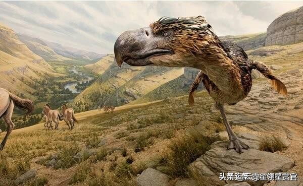 史前时期不会飞的巨鸟,十大最可怕巨型恐龙