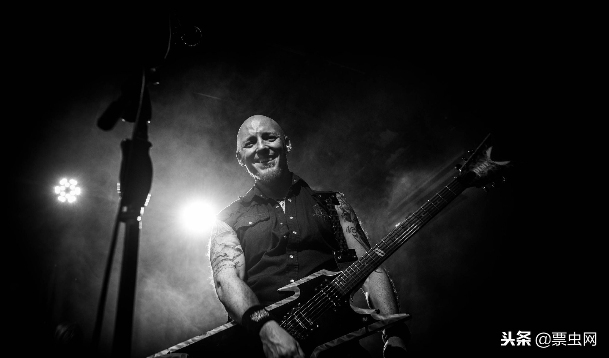 沼泽之王全集,沼泽之王kalmah