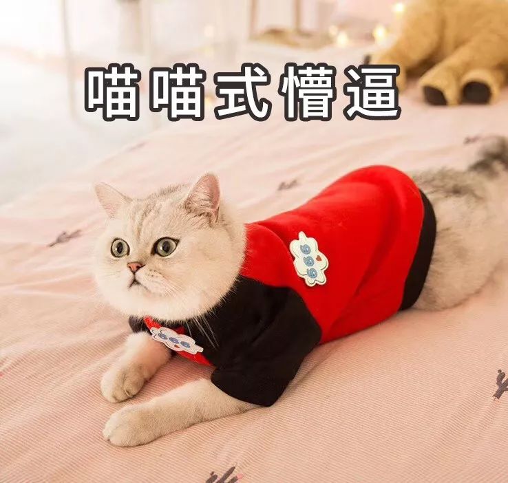 叶檀财经投资价值排行,叶檀财经推荐的股票有哪些