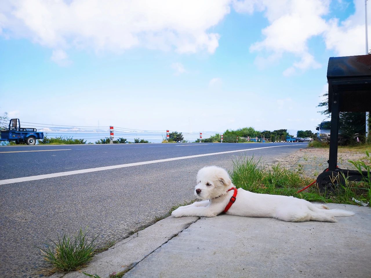 我与锐界的出逃计划:打卡苏州“小镰仓”