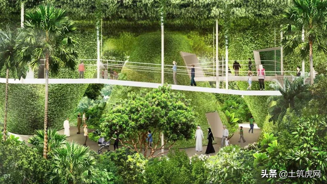 让你意想不到的房子,极简美建筑