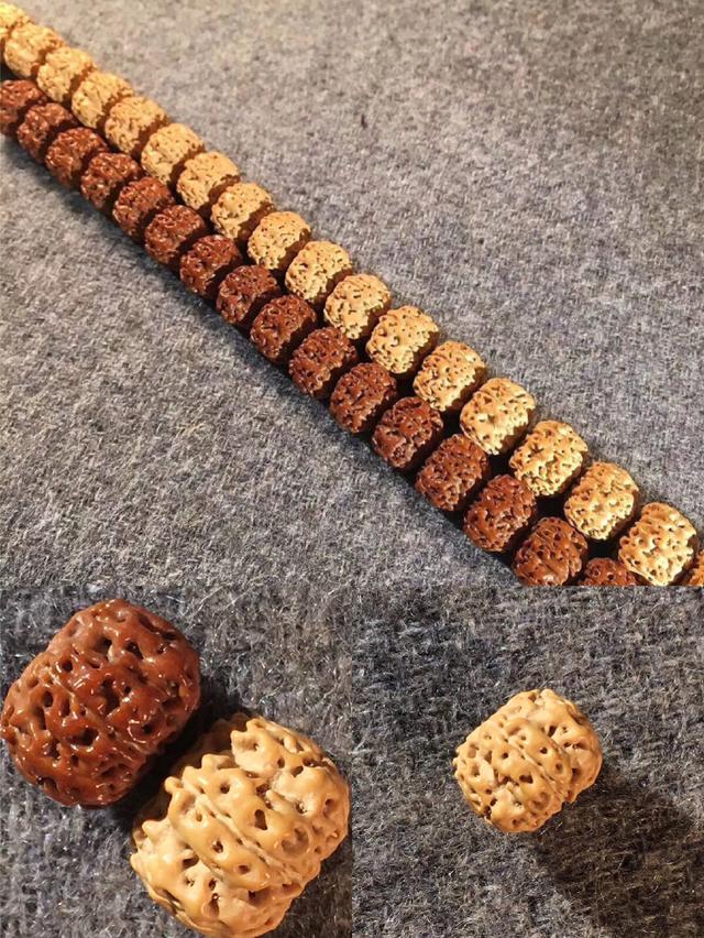 老玩家玩出来的小金刚菩提,老玩家都未必懂的新手攻略