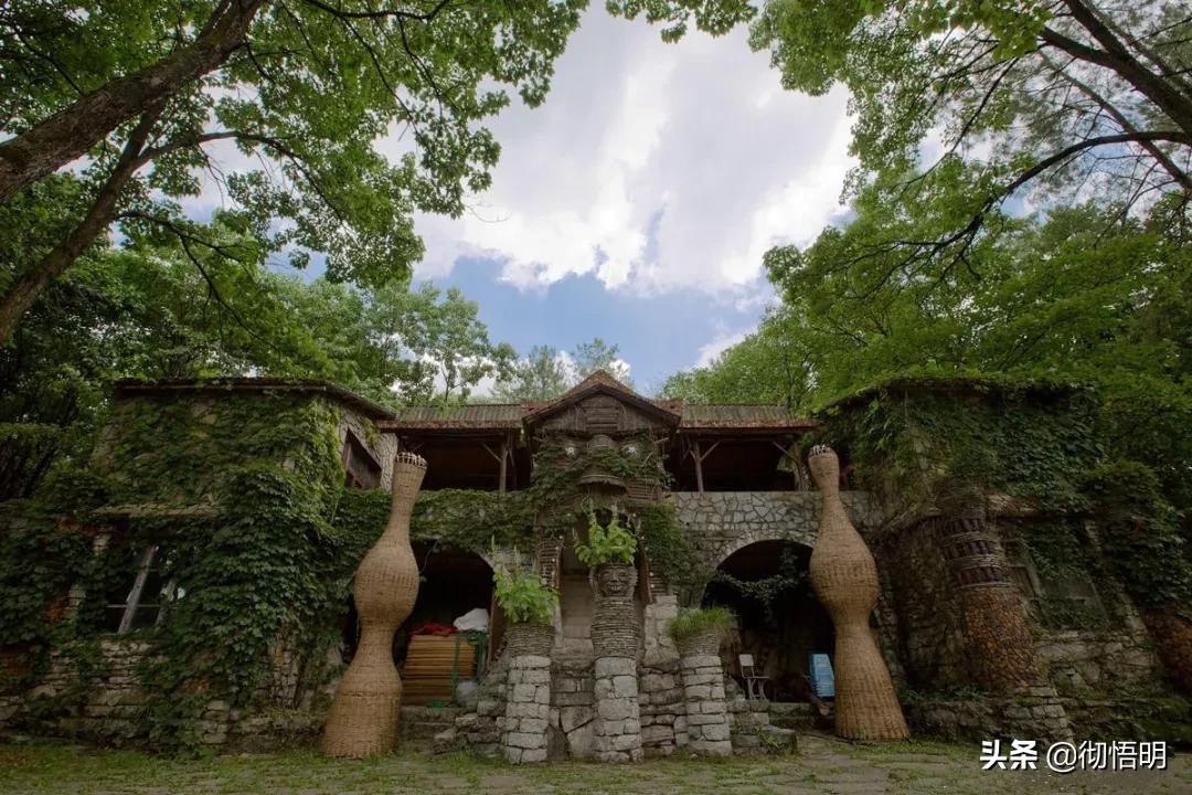 大学教授离家出走,大学教授隐居深山20年