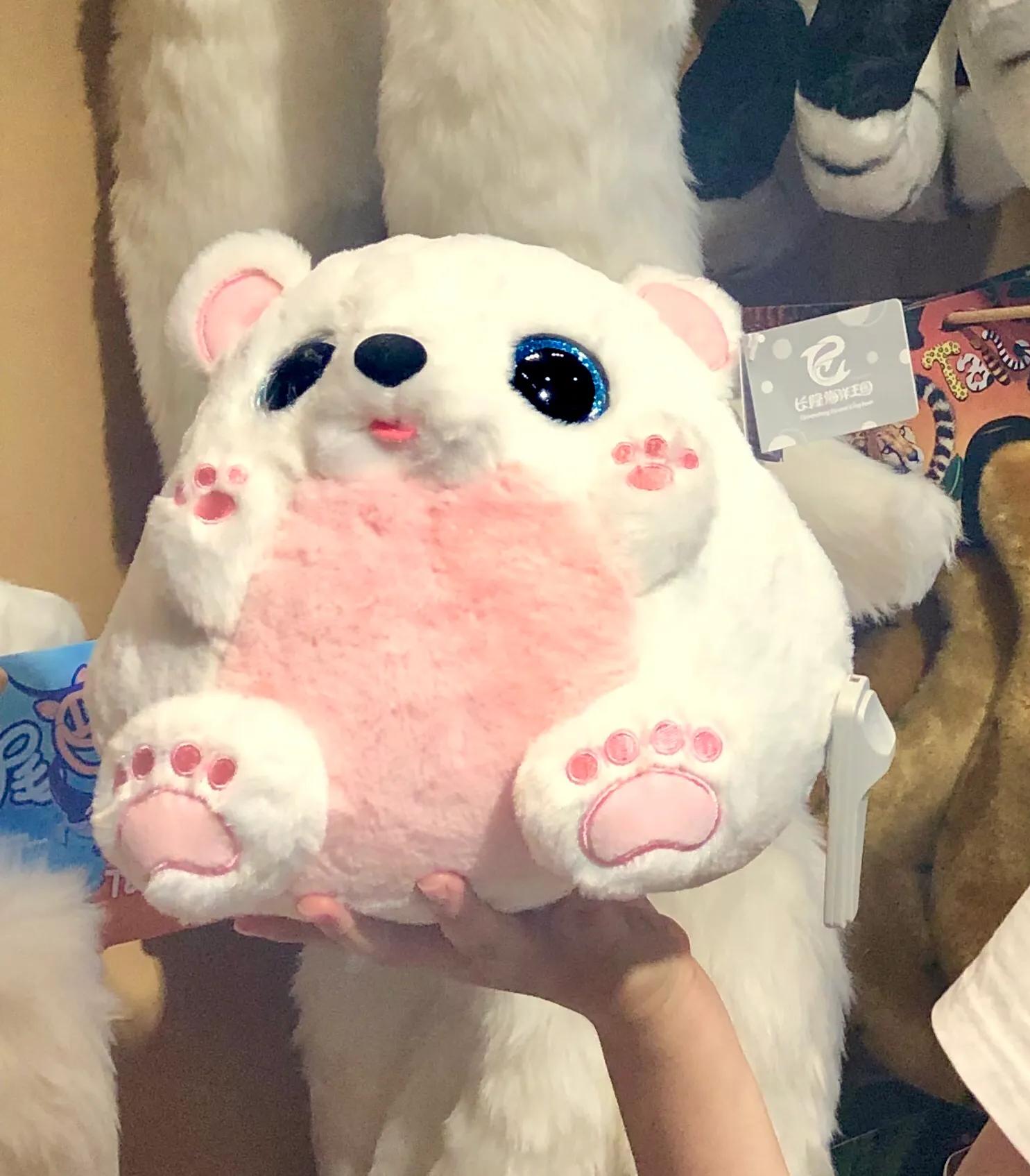 珠海长隆游玩攻略和时间,一月珠海长隆游玩攻略三天两晚