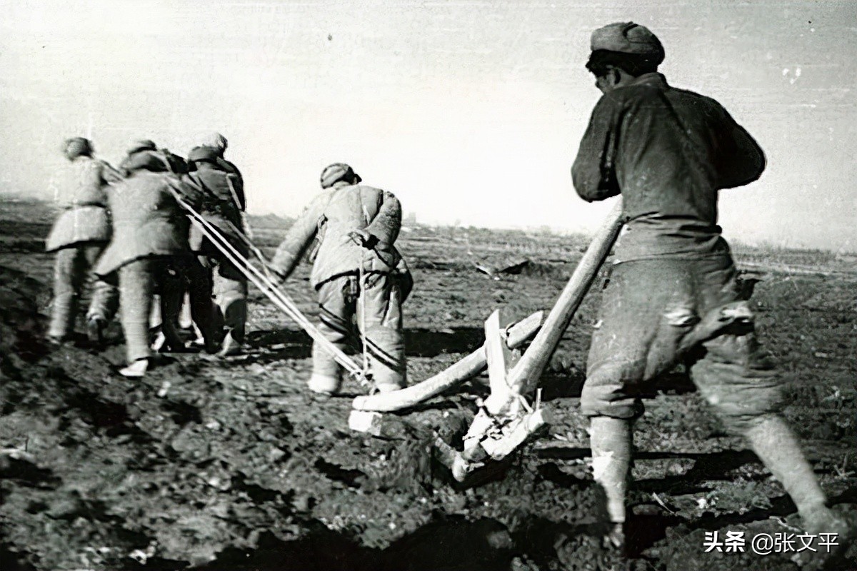 东方红铁牛55型拖拉机,为什么叫铁牛