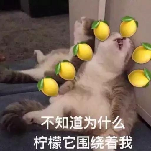 哥本哈根学派与爱因斯坦,哥本哈根创始人