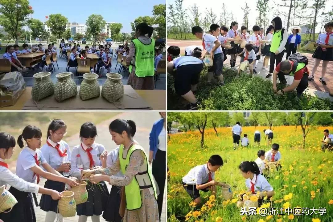 用镜头诉说中医药之美