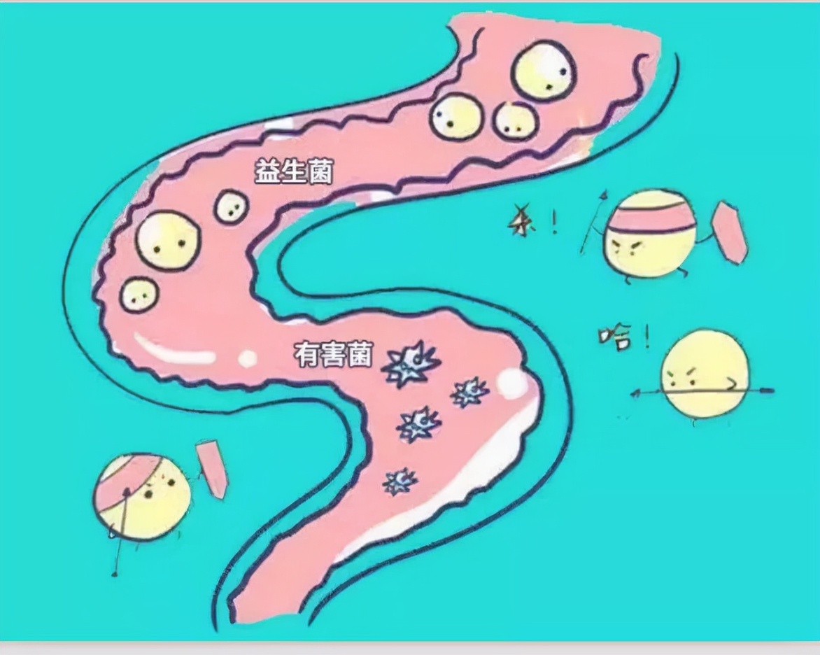 马桶有一块便便冲不下去怎么回事,便便粘马桶肛门四周痒是什么原因