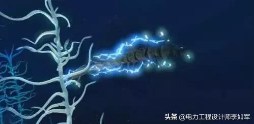 电鳗靠什么能源发电,利用电鳗身体放电来发电