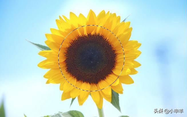 ps抠图怎么减少选区,ps里抠图用选区抠图怎么弄