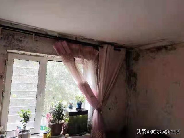 哈尔滨曾经的高端小区,哈尔滨曾经的示范小区