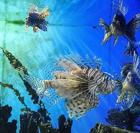 来魔都怎么能不来外滩看看,来魔都旅游