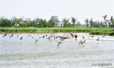 天津周边踏春好地方,天津一日游踏春路线