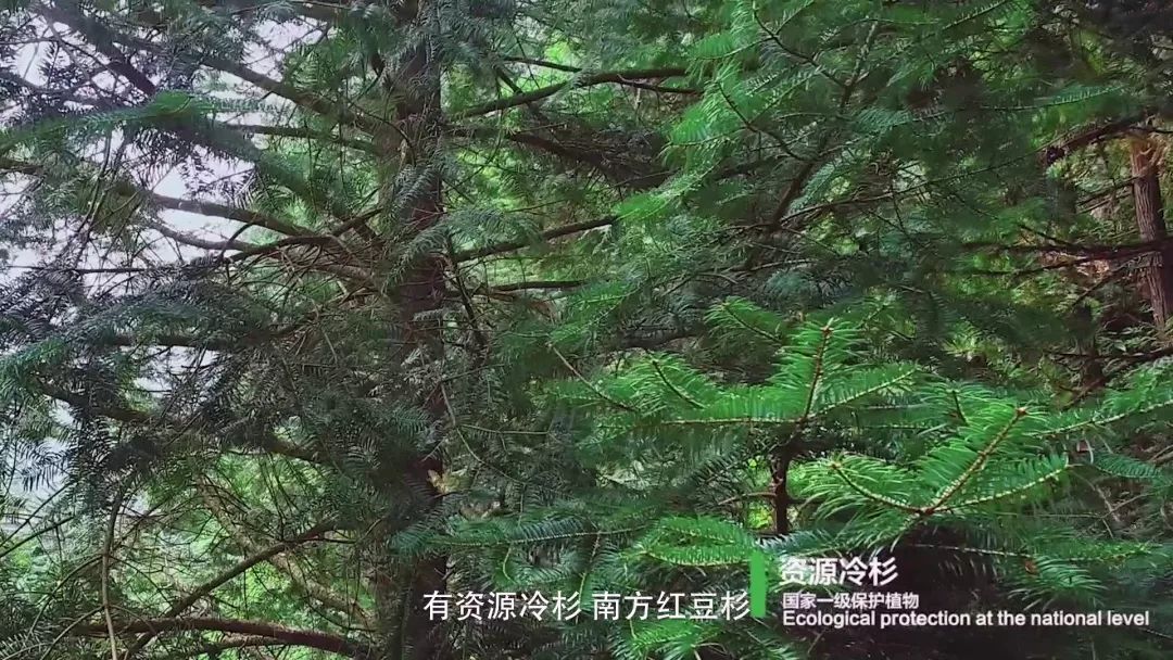 从世界地图看湖南,世界看湖南