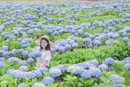 被大理的美景所折服,被丽江的风景美到了