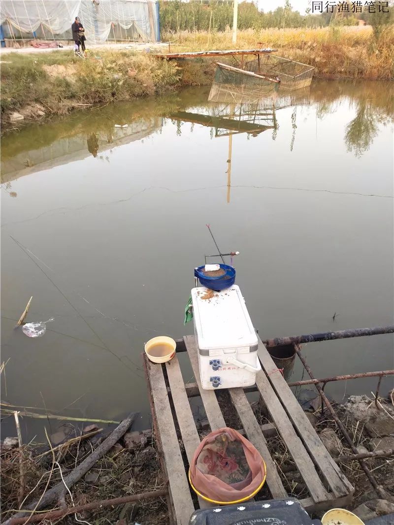 钓鱼笔记1,钓鱼笔记最新视频