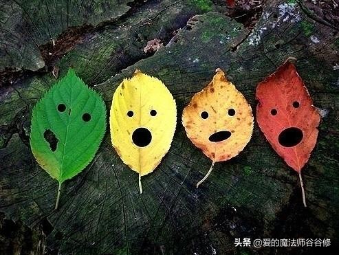 感觉到无趣,觉得无趣很正常