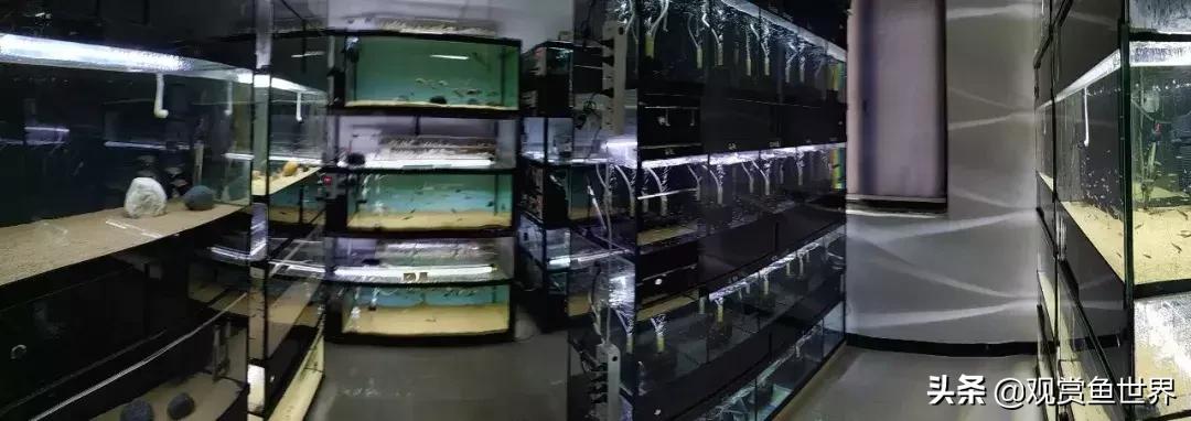 梦想的三湖世界持续建设中……方位:中国天津