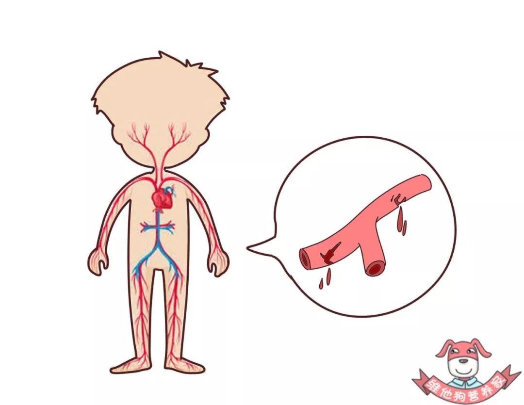 熬夜三班倒怎么补救,熬夜熬多了怎么调整正常作息