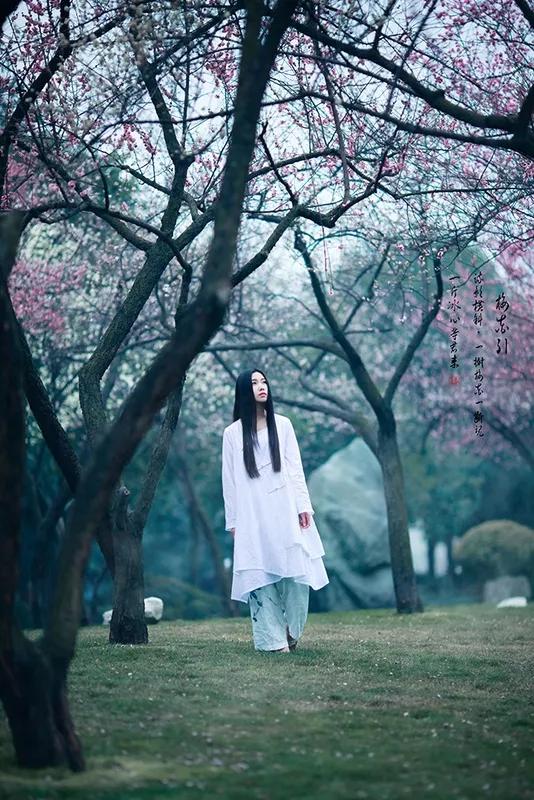 梦里花落知多少24集,梦里花落知多少