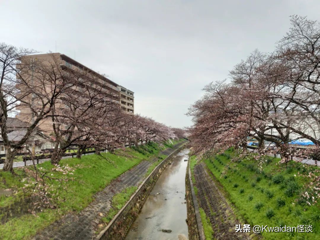 2012年4月日本关西五日游记,流水账式旅行vlog济州