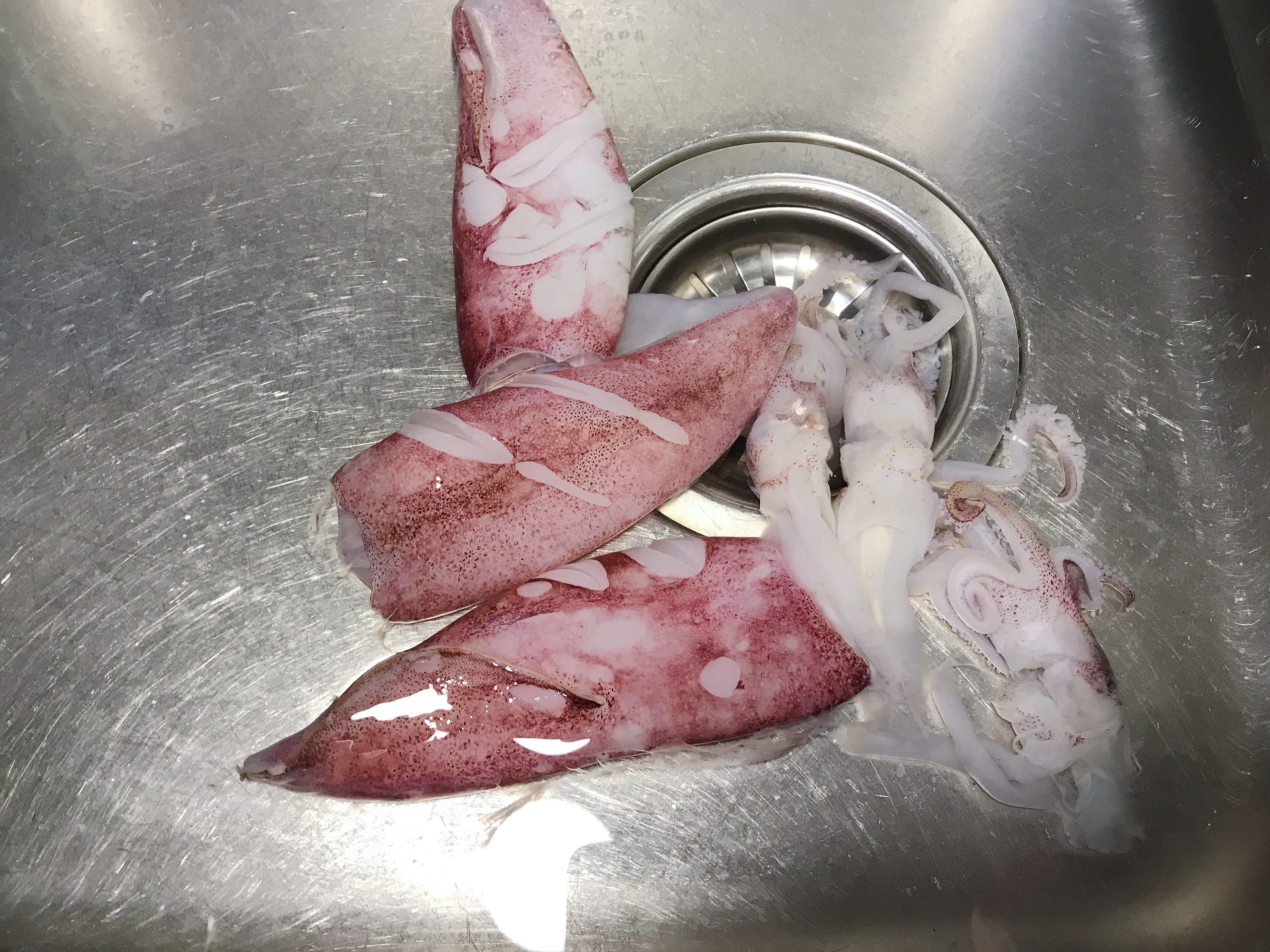 清蒸鱿鱼的正确做法大全,清蒸鱿鱼的做法大全家常菜窍门