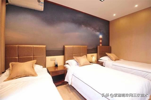 长岛值得去的渔家乐,长岛美丽的海岛