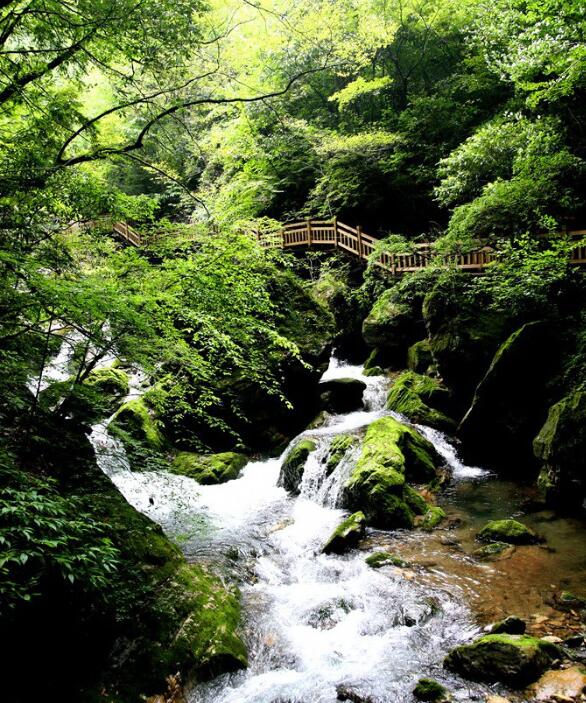 湖北神农架旅游景点大全攻略,湖北神农架旅游景点排行榜前十