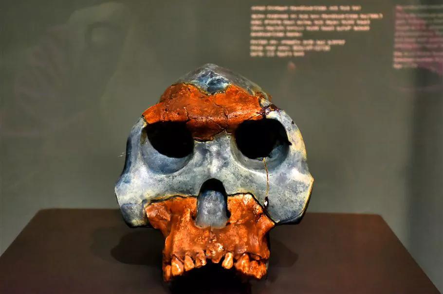 刘丰老师说超体的一句话,刘丰谈超体