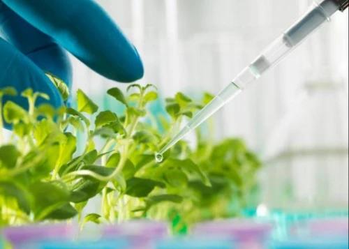 法国艾欧玛睡眠面膜怎么样,艾欧码睡眠面膜