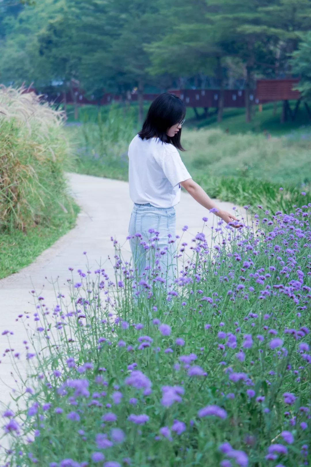 深圳好玩景点地铁路线,深圳好玩免费景点地铁直达的