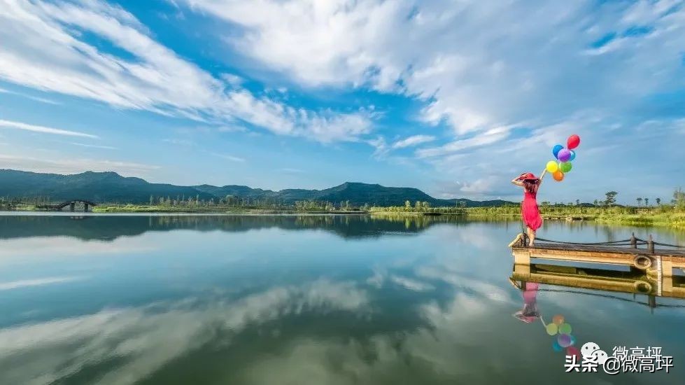 高坪区会展中心酒店 (国际会展中心高坪区)