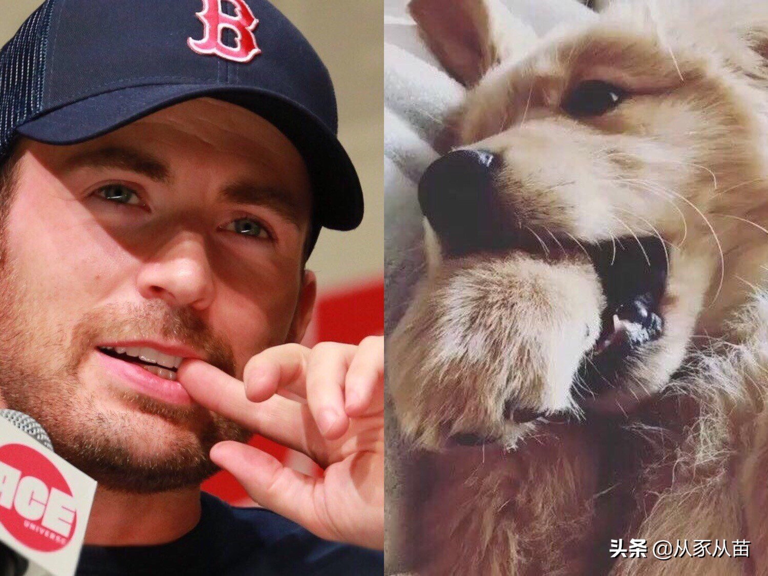 原来美队私底下是这样！看完这组照片会心一笑哈哈