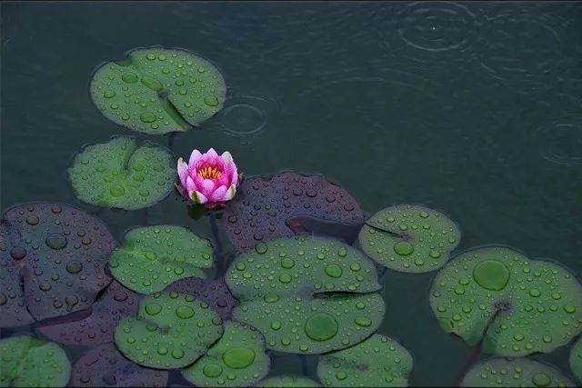 为了开出一张有质量的处方，得背背这个
