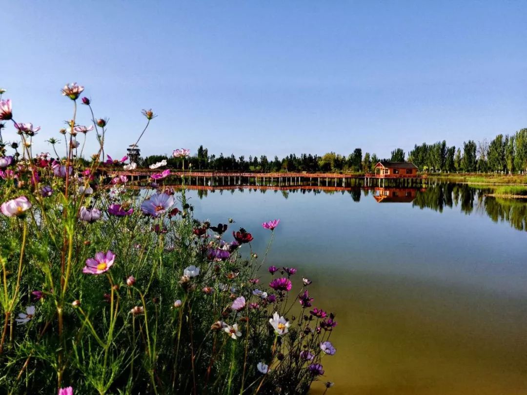 阿克苏在新疆的经济排名,阿克苏最强的县