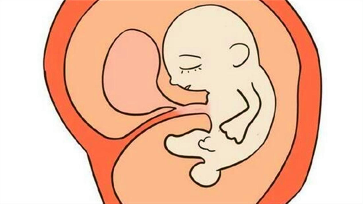 孕妈睡觉宝宝在干什么,孕妈七个月宝宝在肚子里干嘛