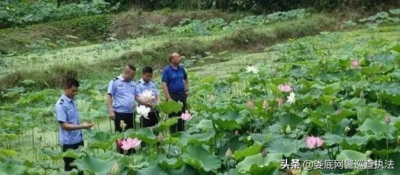 深山小镇辅警的真实生活,关于乡村辅警的工作故事