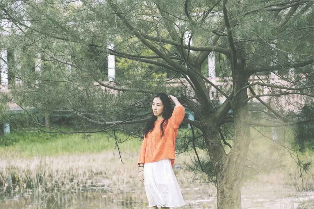 深圳二号线沿线有哪些景点游玩,深圳9号线沿途好玩的地方推荐