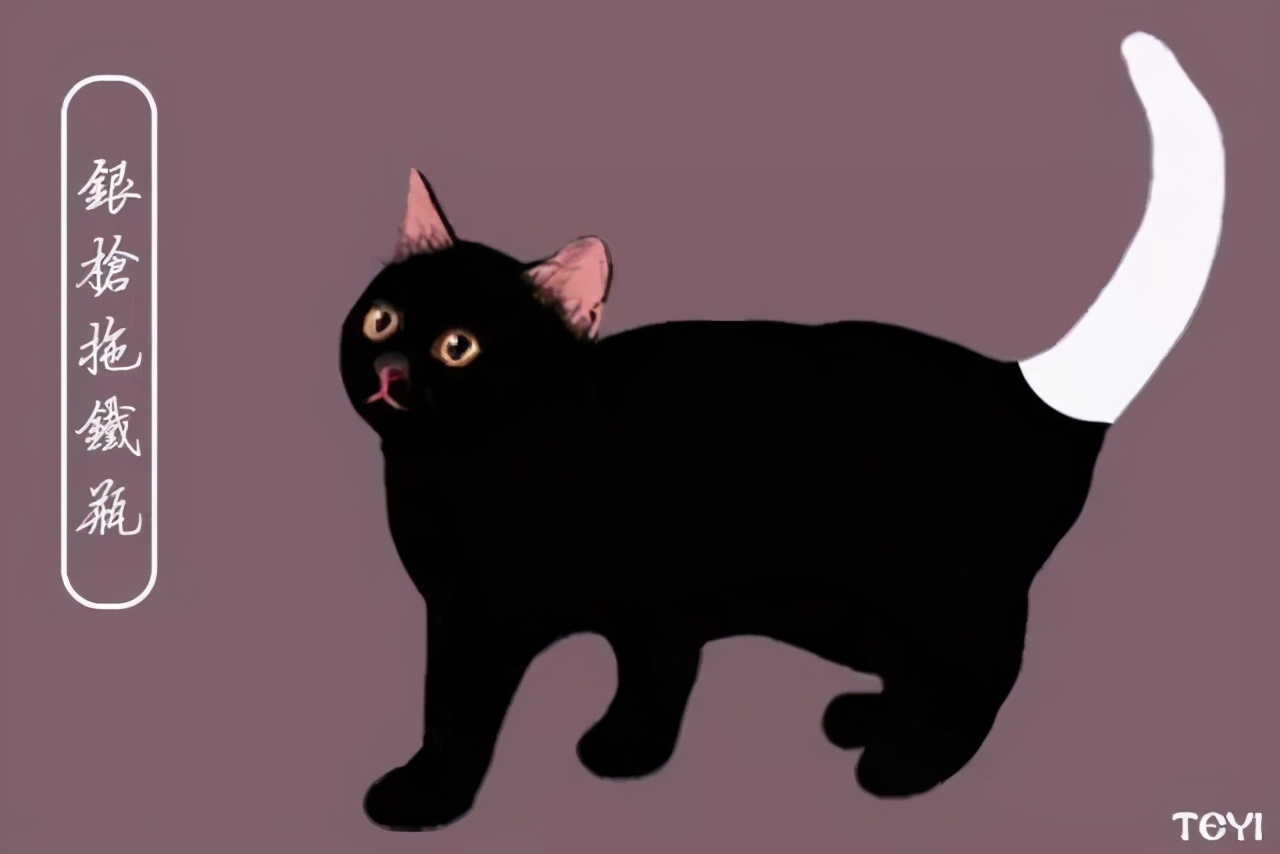 中华田园猫的品种介绍和图片大全,常见中华田园猫品种名称